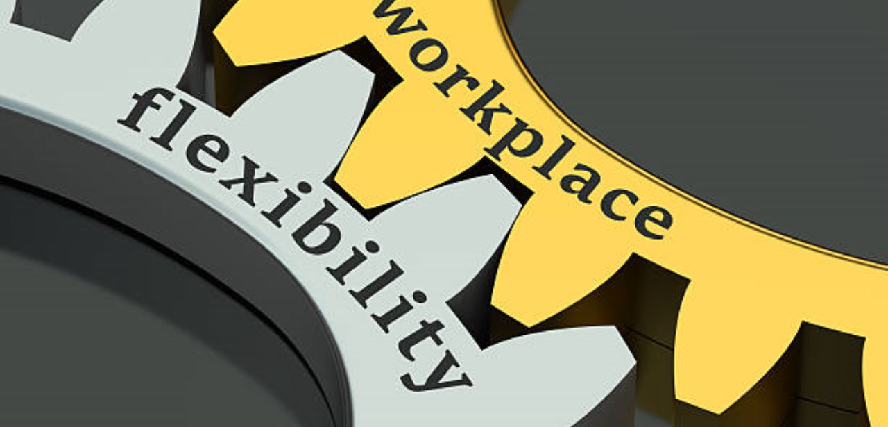 Flessibilità e rispetto dei costi